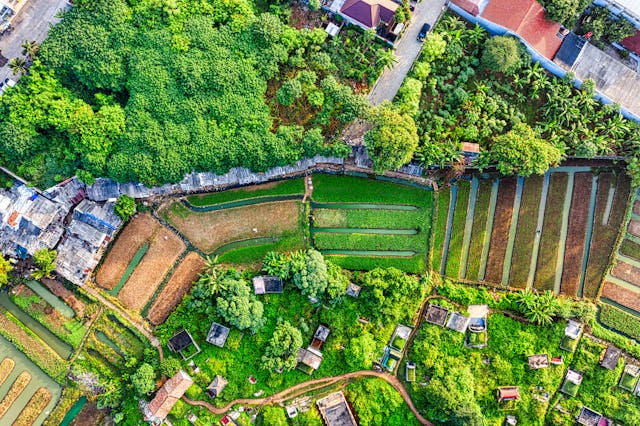 passief inkomen genereren